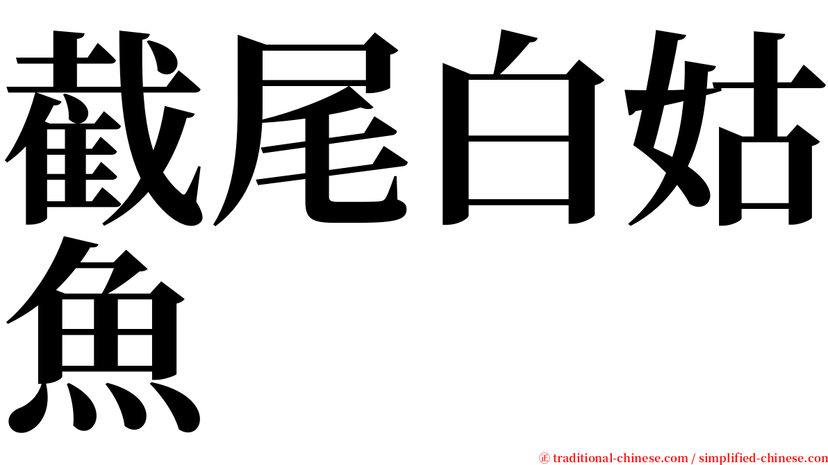 截尾白姑魚 serif font