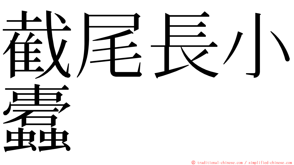 截尾長小蠹 ming font