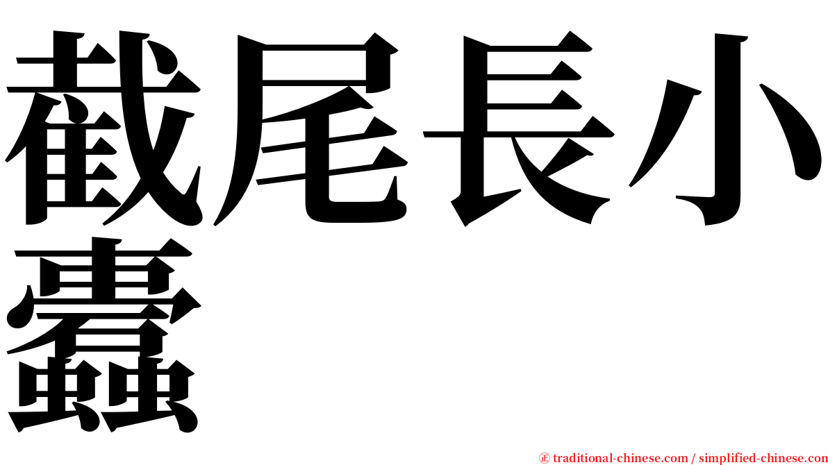 截尾長小蠹 serif font