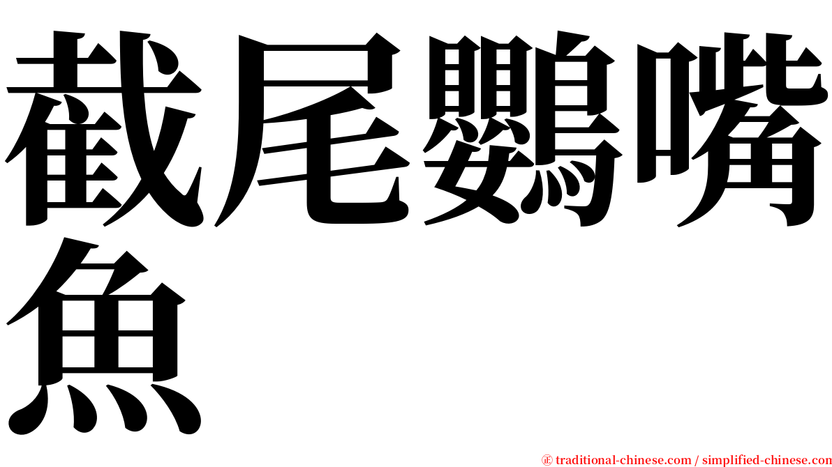 截尾鸚嘴魚 serif font