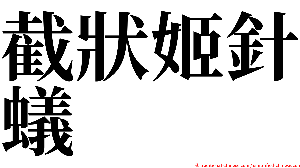 截狀姬針蟻 serif font