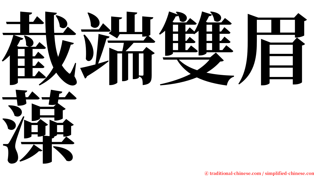 截端雙眉藻 serif font