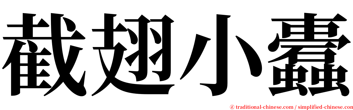 截翅小蠹 serif font