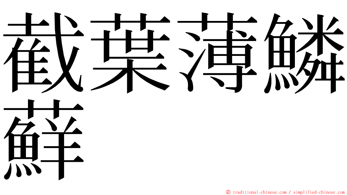 截葉薄鱗蘚 ming font