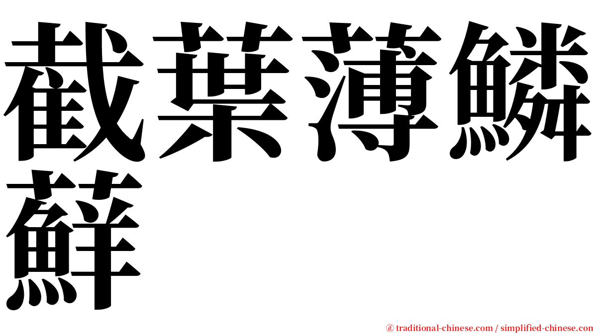 截葉薄鱗蘚 serif font