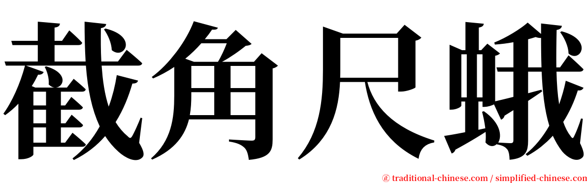 截角尺蛾 serif font