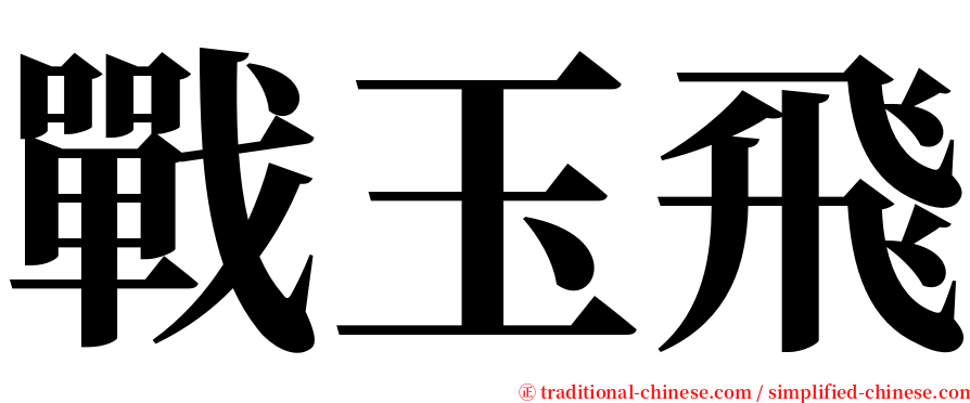 戰玉飛 serif font