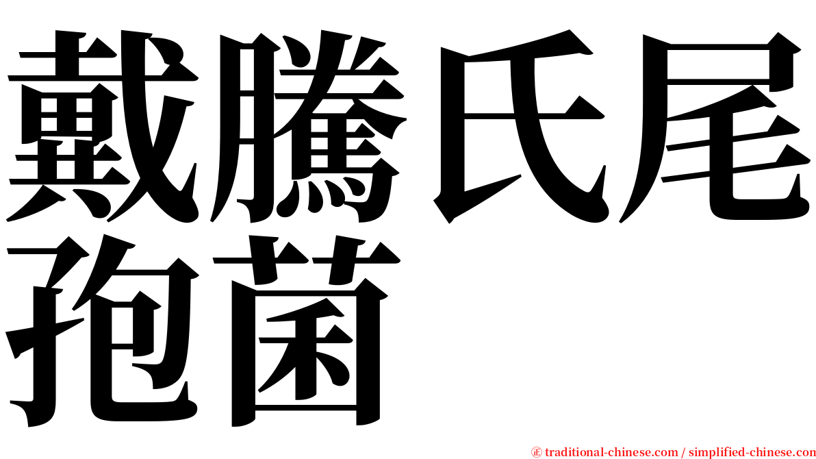 戴騰氏尾孢菌 serif font