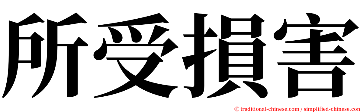 所受損害 serif font