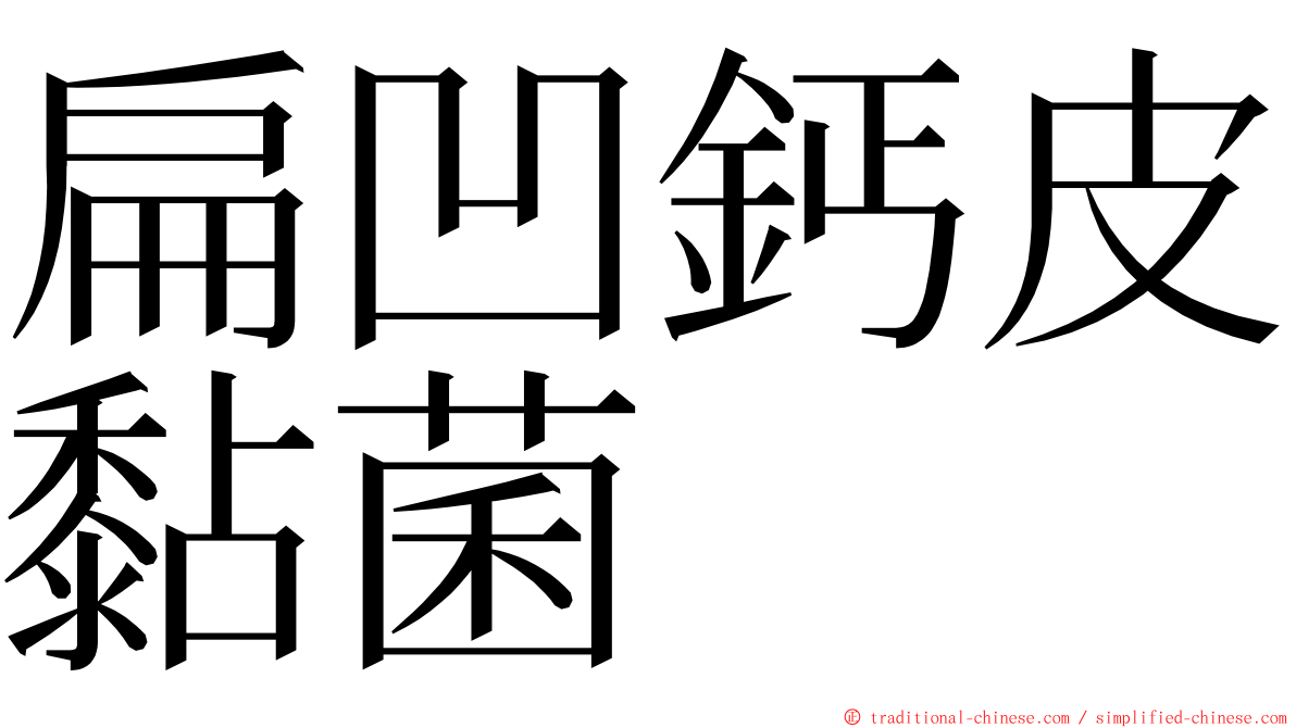 扁凹鈣皮黏菌 ming font