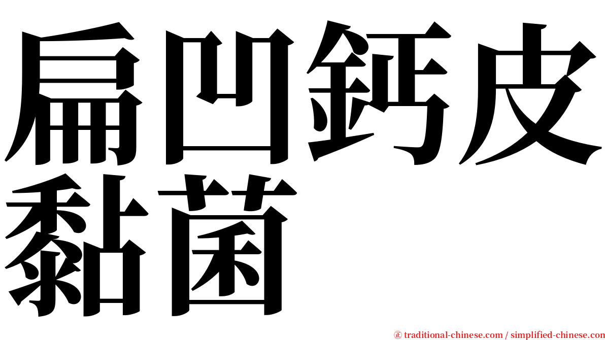 扁凹鈣皮黏菌 serif font