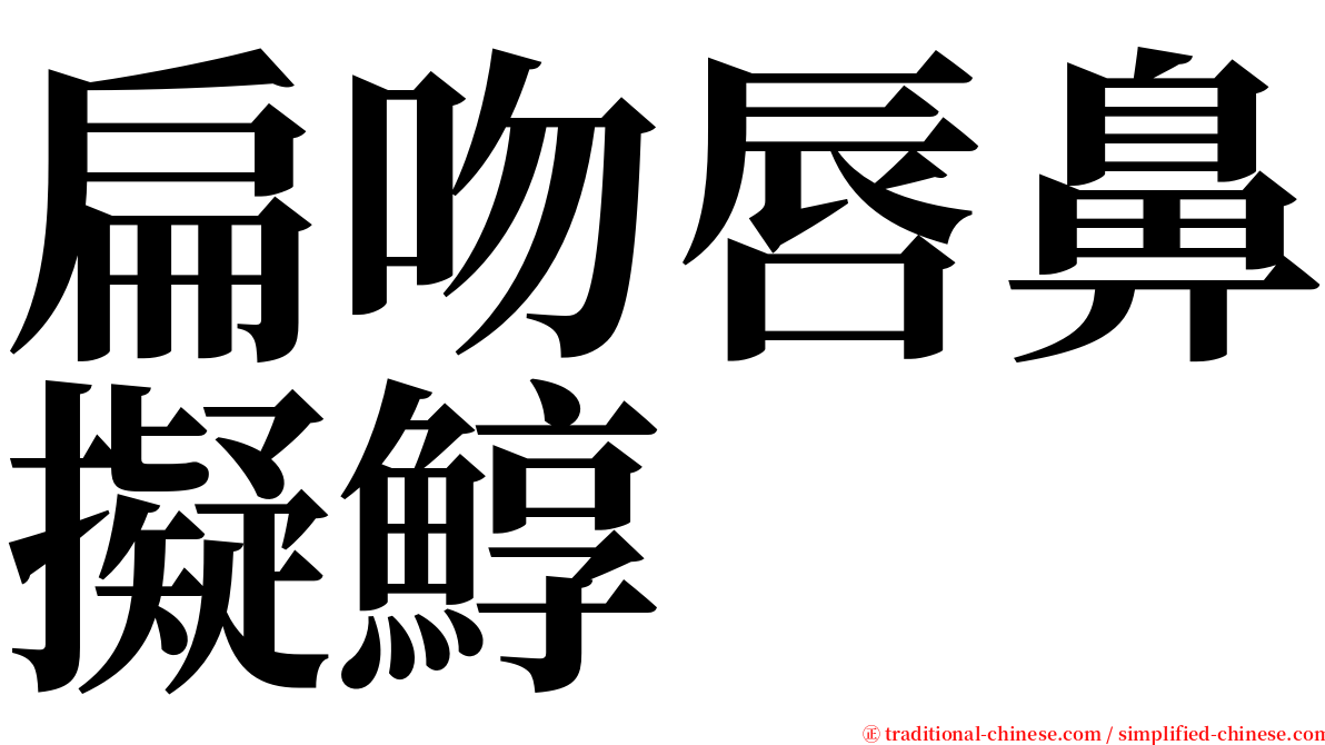 扁吻唇鼻擬鯙 serif font