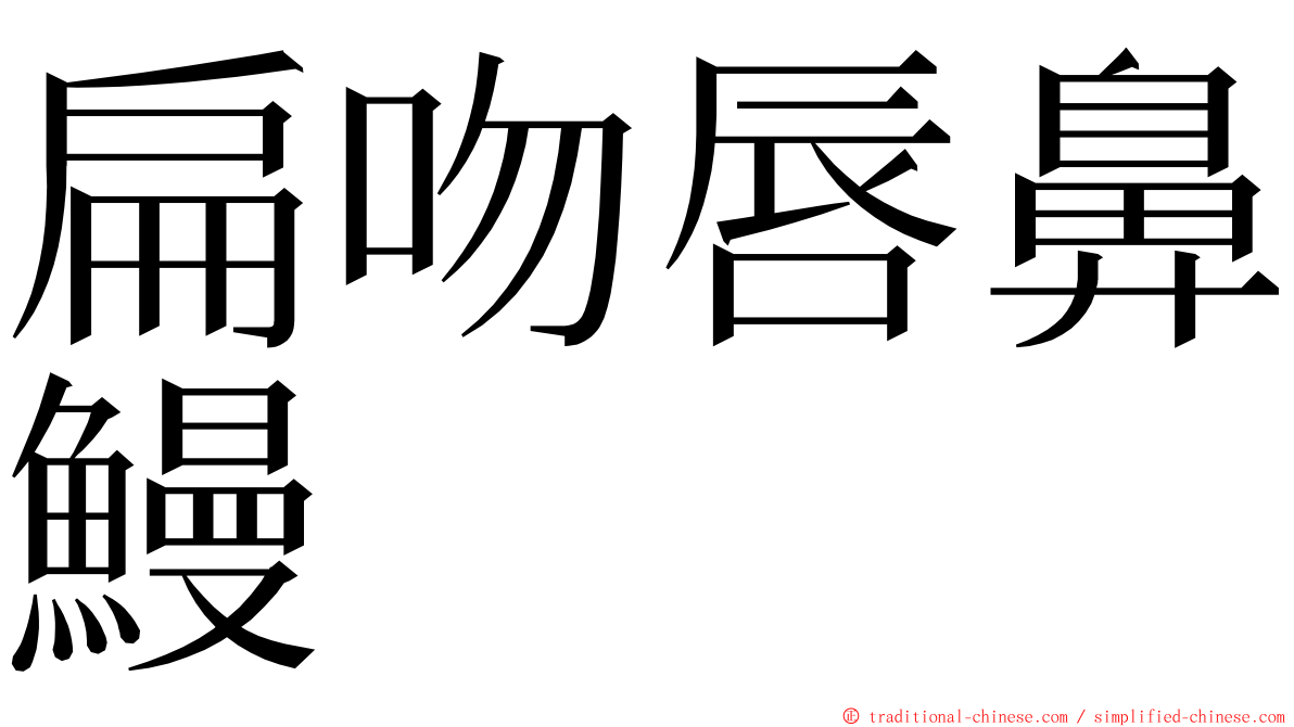 扁吻唇鼻鰻 ming font