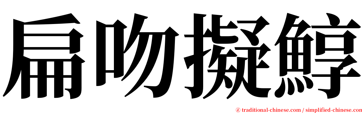 扁吻擬鯙 serif font