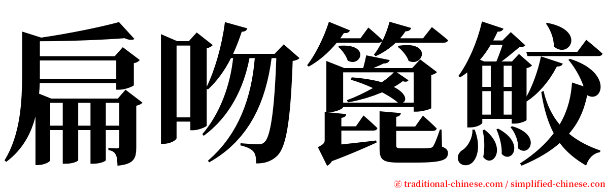 扁吻篦鮫 serif font