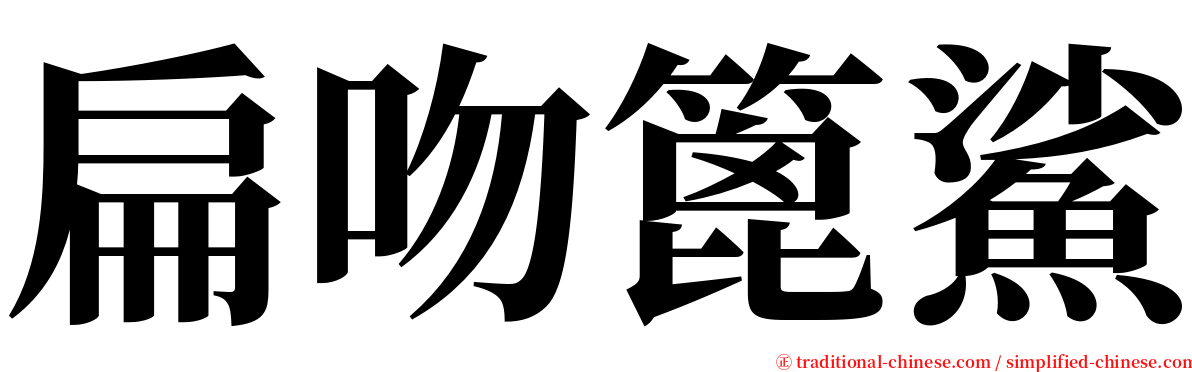 扁吻篦鯊 serif font