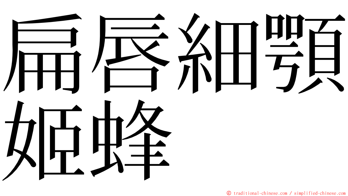 扁唇細顎姬蜂 ming font