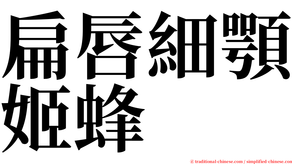 扁唇細顎姬蜂 serif font