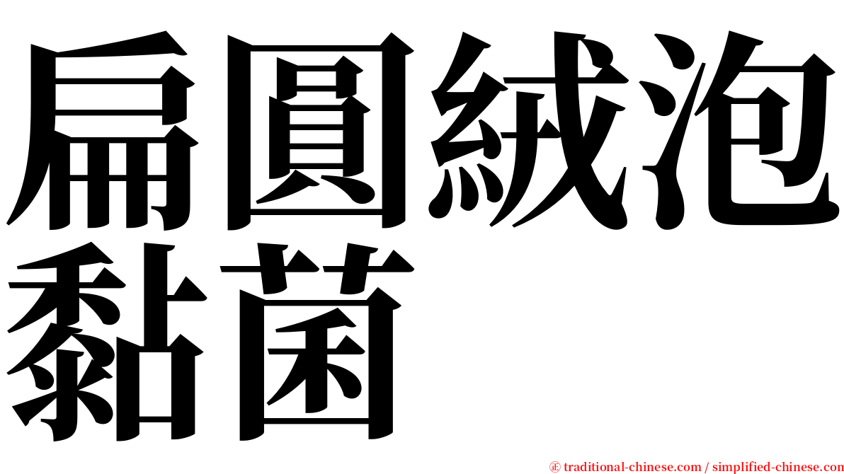 扁圓絨泡黏菌 serif font