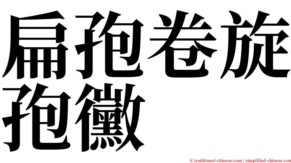 扁孢卷旋孢黴 serif font