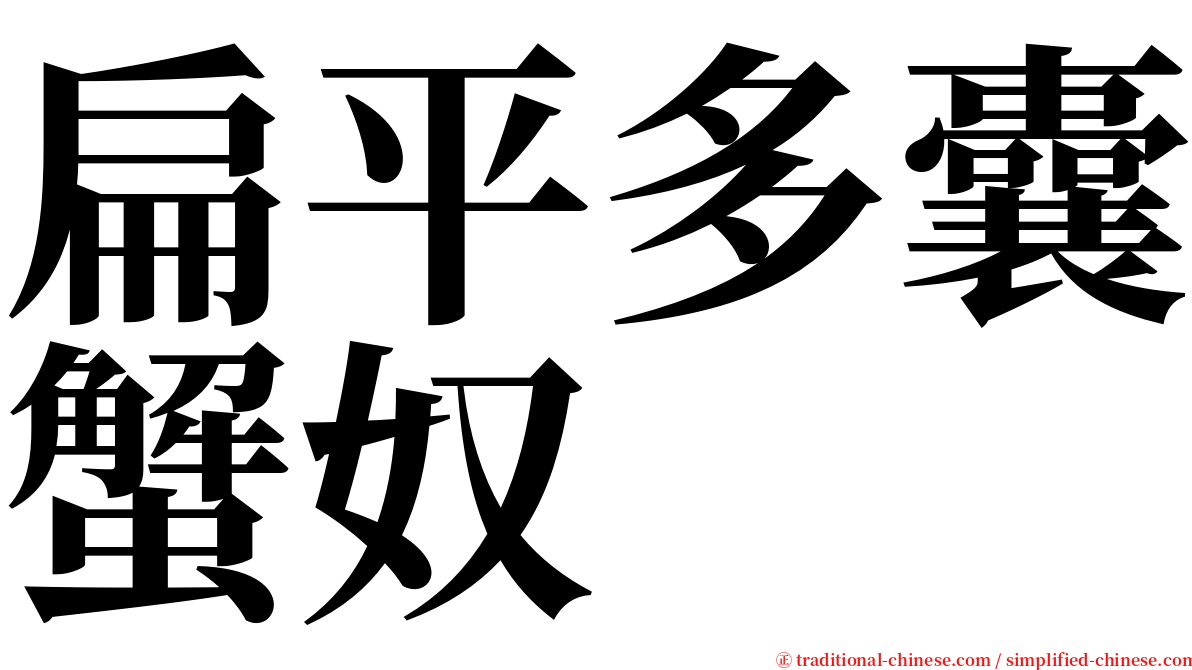 扁平多囊蟹奴 serif font