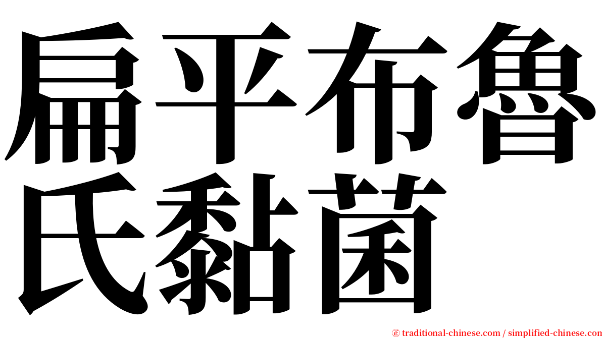 扁平布魯氏黏菌 serif font