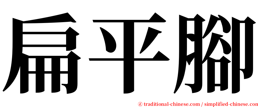 扁平腳 serif font