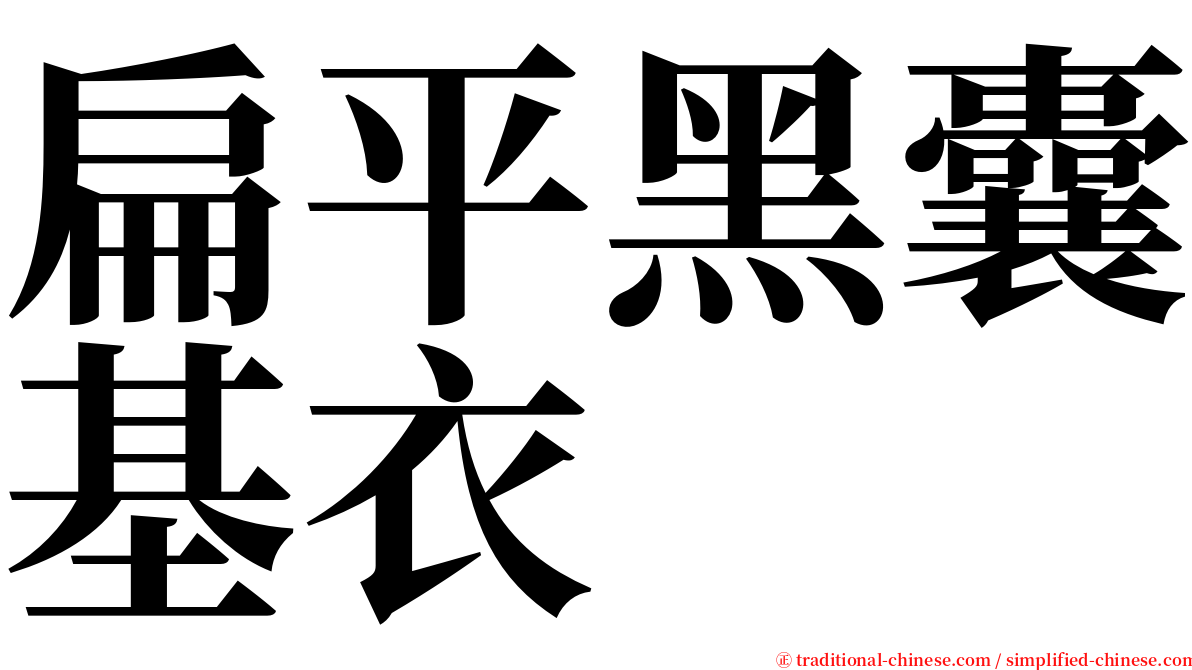 扁平黑囊基衣 serif font