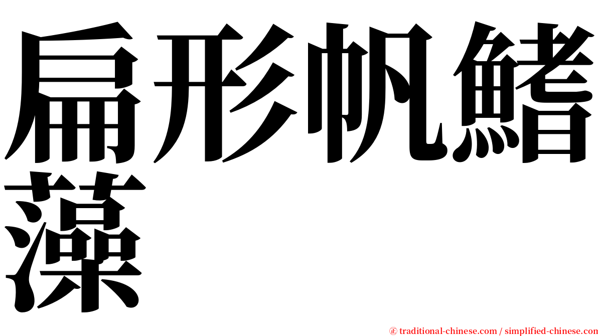 扁形帆鰭藻 serif font