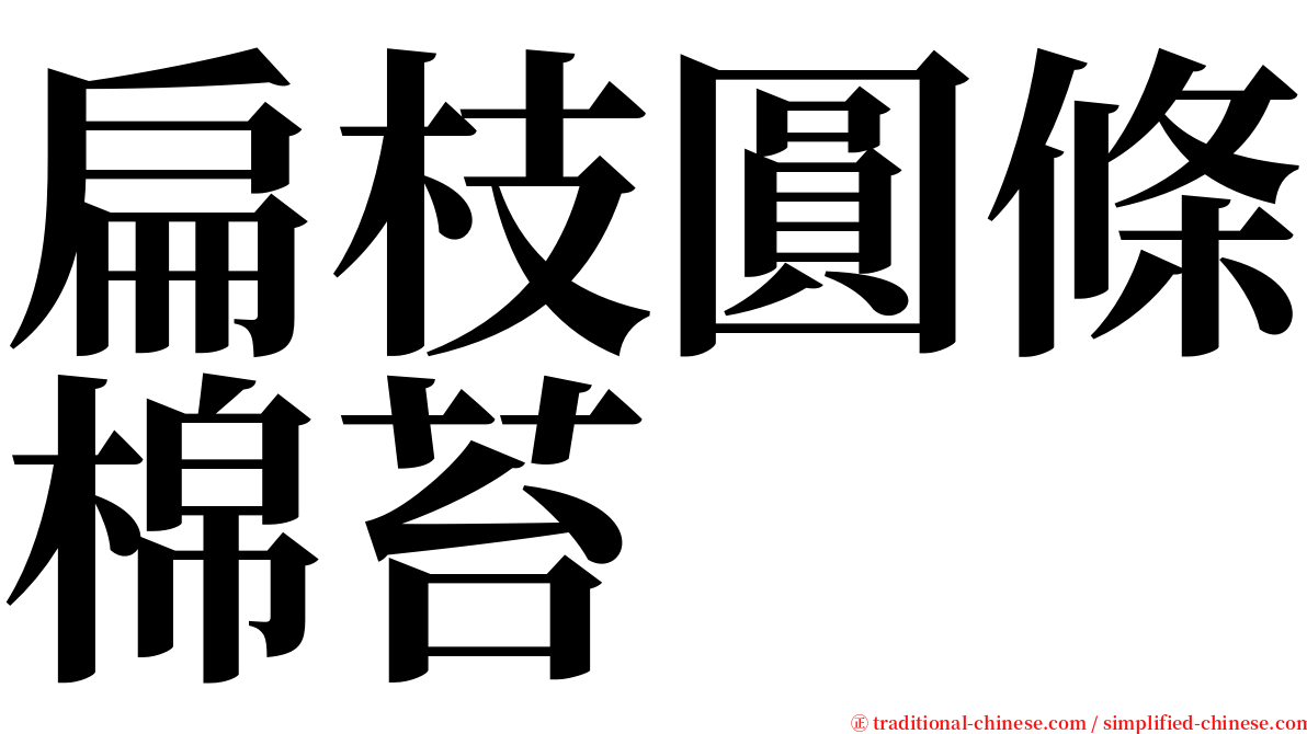 扁枝圓條棉苔 serif font