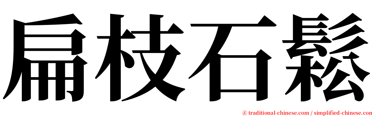 扁枝石鬆 serif font