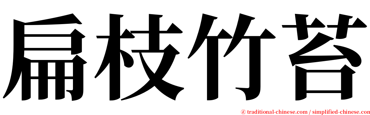 扁枝竹苔 serif font