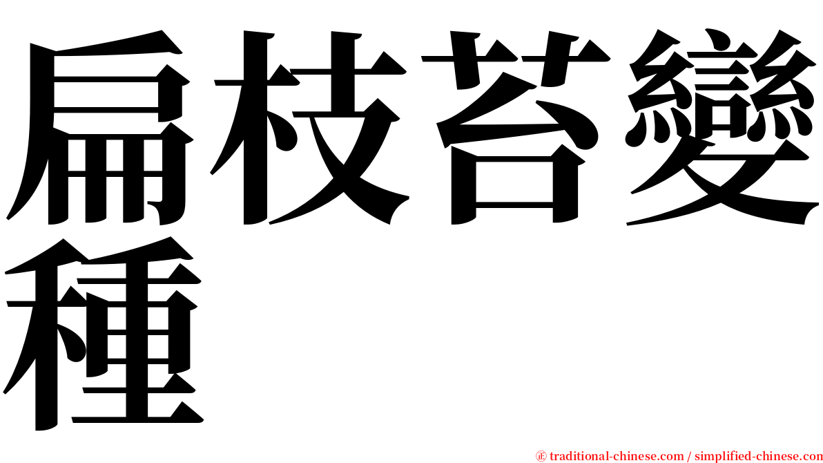 扁枝苔變種 serif font