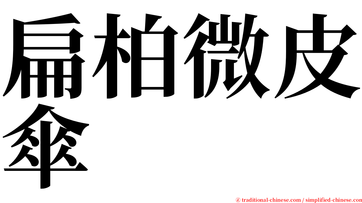 扁柏微皮傘 serif font