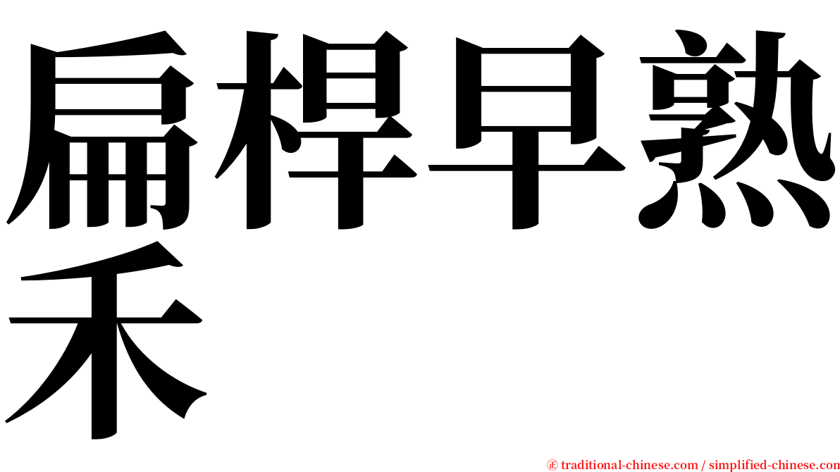 扁桿早熟禾 serif font