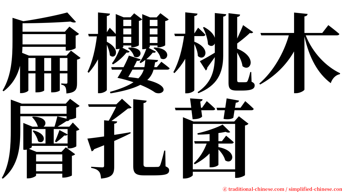 扁櫻桃木層孔菌 serif font