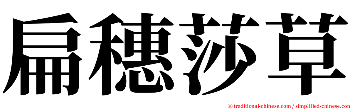 扁穗莎草 serif font