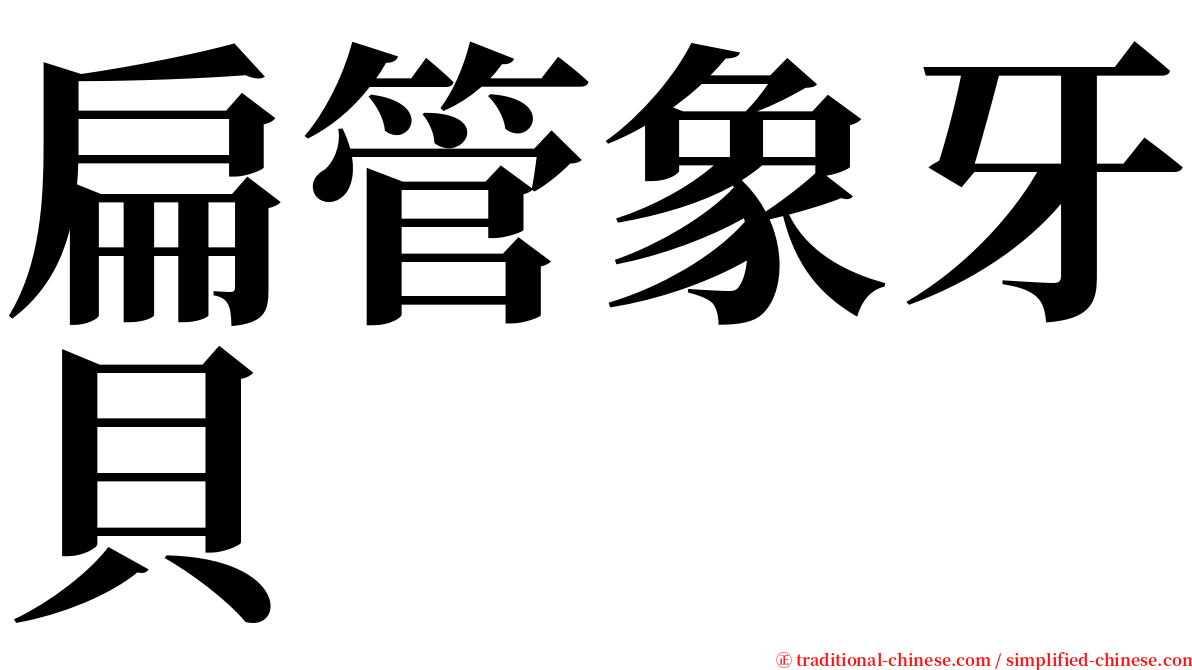 扁管象牙貝 serif font