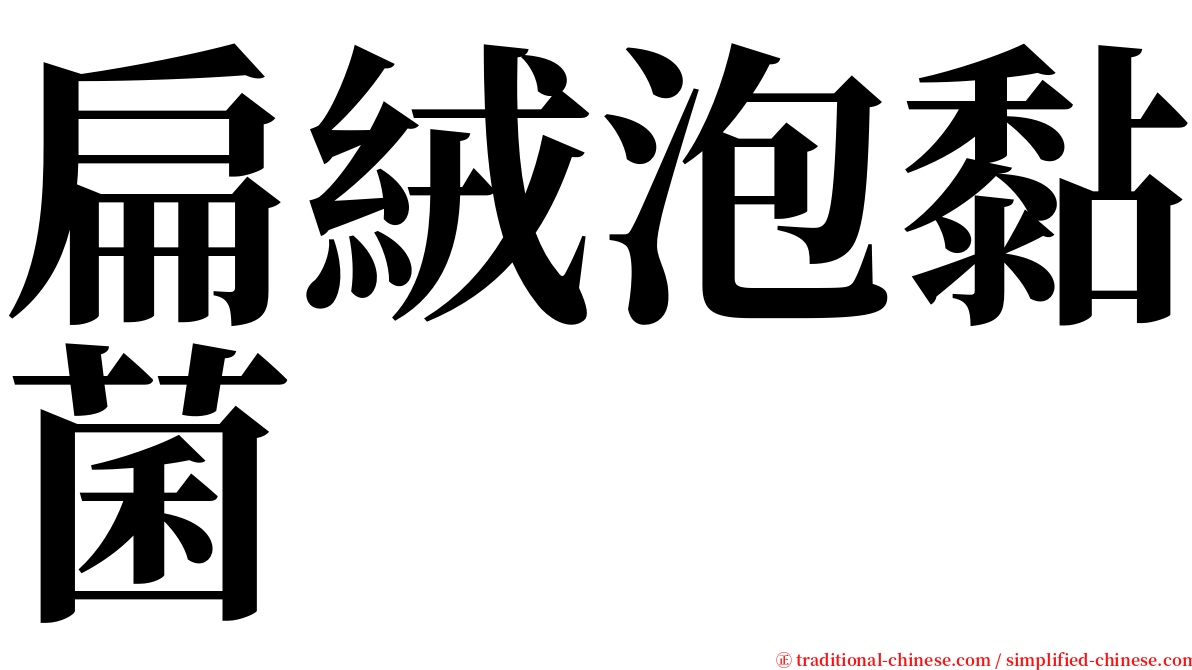 扁絨泡黏菌 serif font