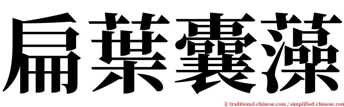 扁葉囊藻 serif font