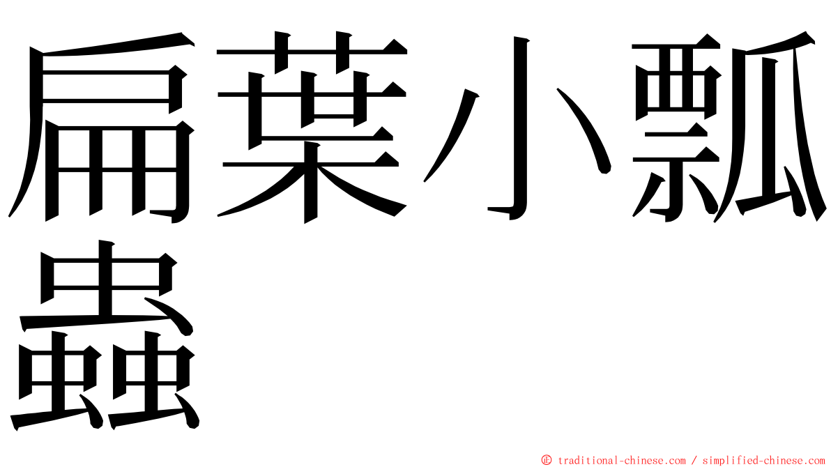 扁葉小瓢蟲 ming font