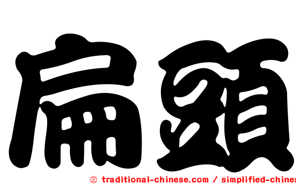 扁頭