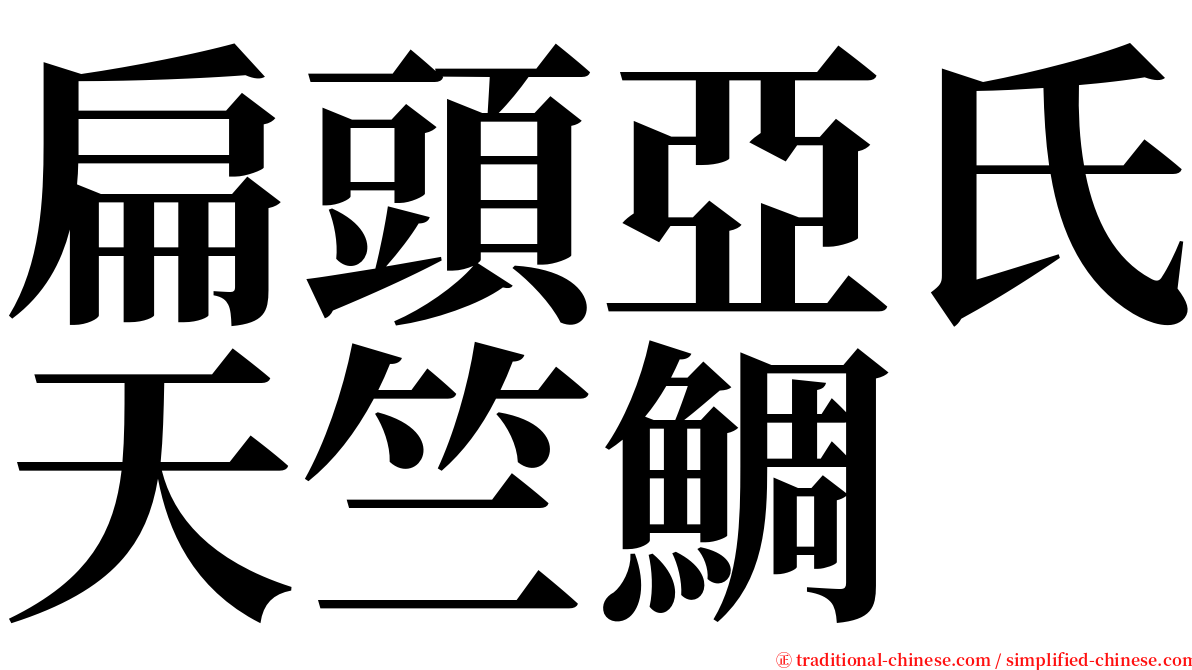 扁頭亞氏天竺鯛 serif font