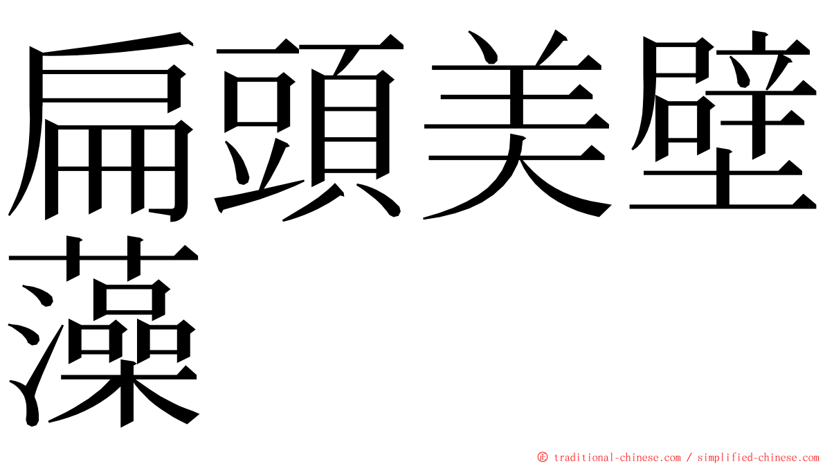 扁頭美壁藻 ming font