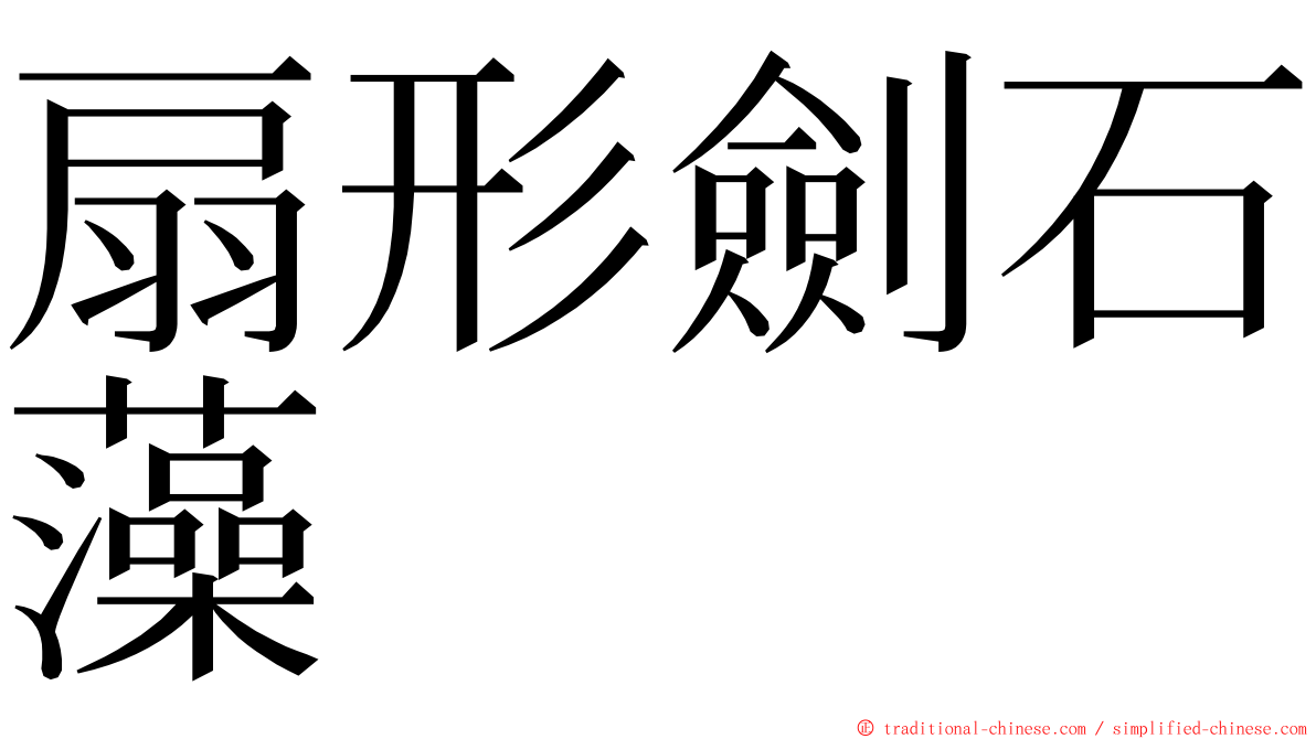 扇形劍石藻 ming font