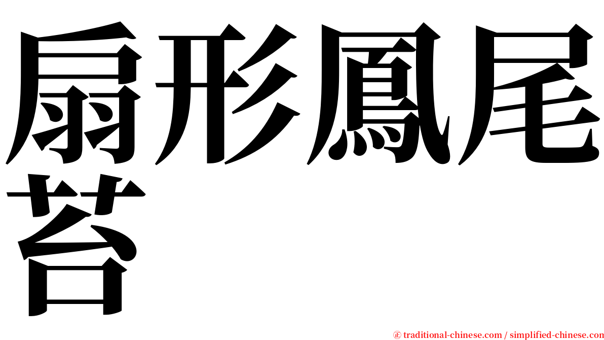 扇形鳳尾苔 serif font