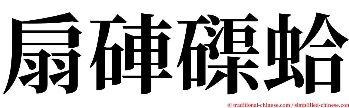 扇硨磲蛤 serif font