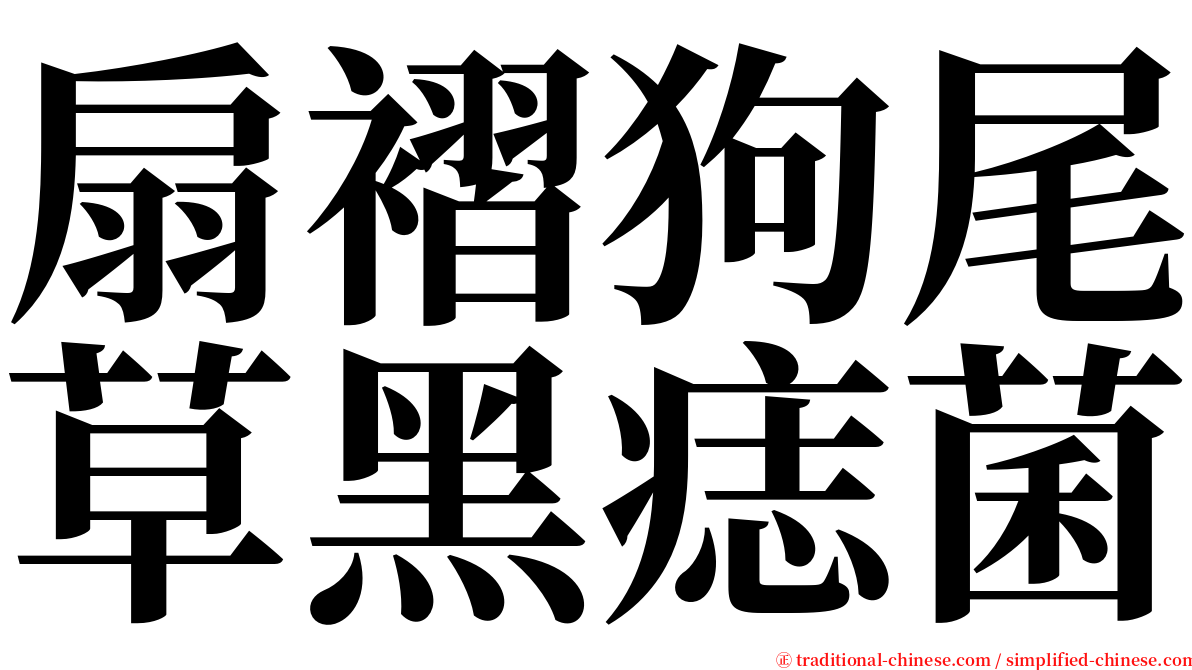 扇褶狗尾草黑痣菌 serif font