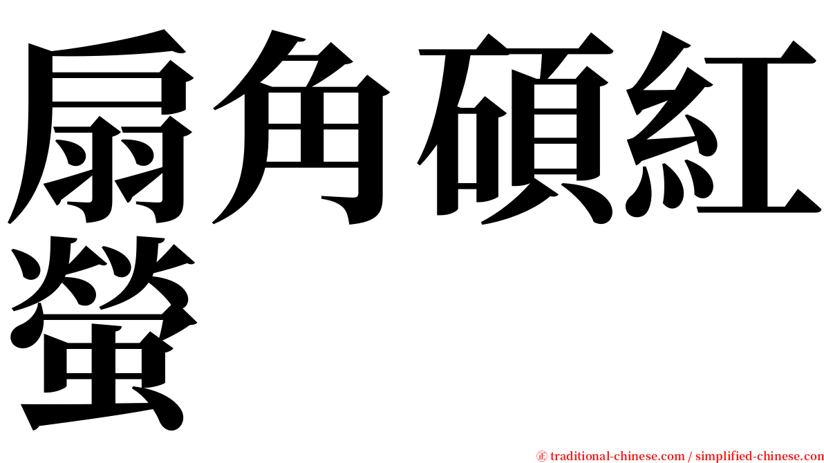 扇角碩紅螢 serif font