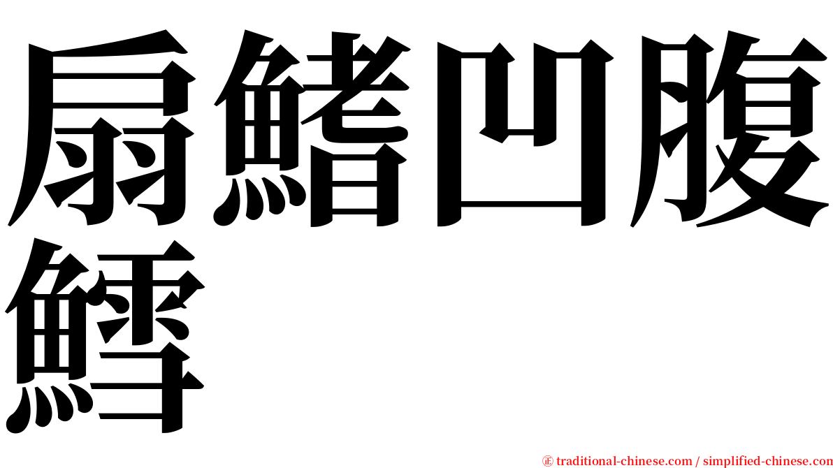 扇鰭凹腹鱈 serif font